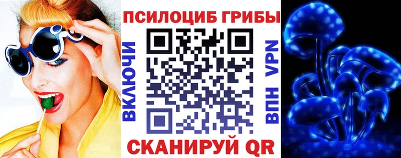kraken tor  Спасск-Рязанский  Псилоцибиновые грибы Cubensis 